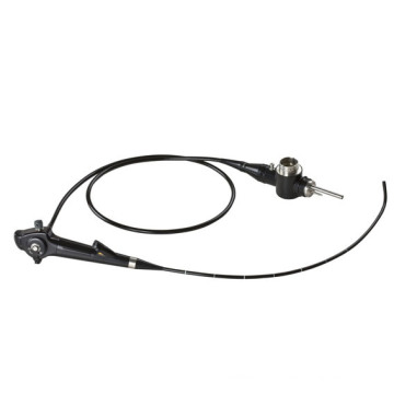 Vet Flexible Endoscope Broncho Videoscope